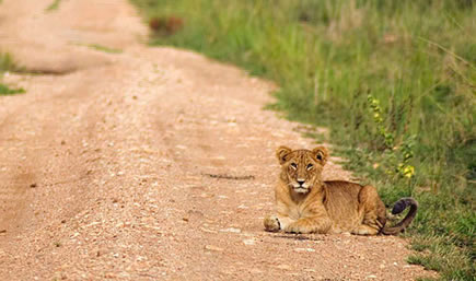 Kidepo_Valley_National_Park