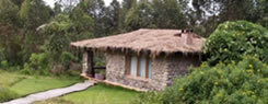 Mountain gorilla view lodge