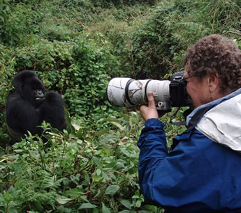 Gorilla filming