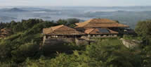 uganda-gorilla-tour