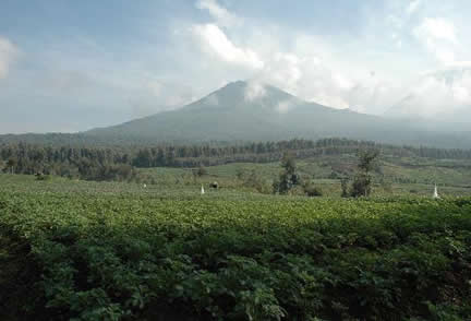 volcanoes-national-park