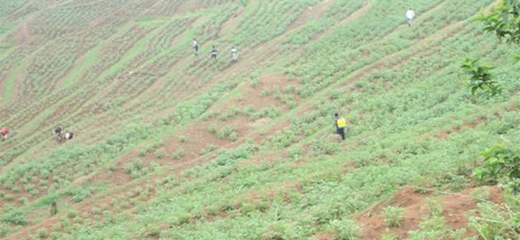 Farming Association Started In Nyamagabe