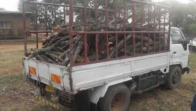 Rwanda Police Warns Public Against Unauthorized Tree Cutting