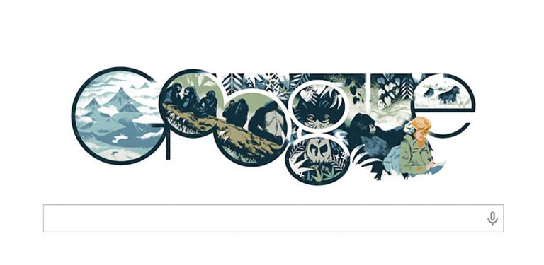 Google Doodle Celebrates Fossey, Mountain Gorillas