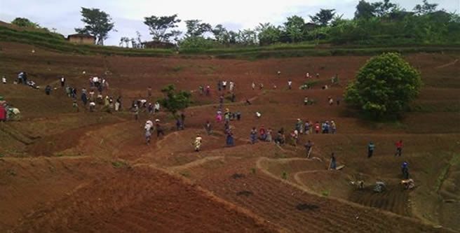 Nyamagabe Community Embarks On Enforcing Terracing To Rejuvenate Land