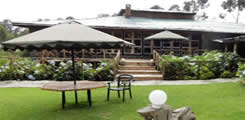 mountain-gorilla-view lodge