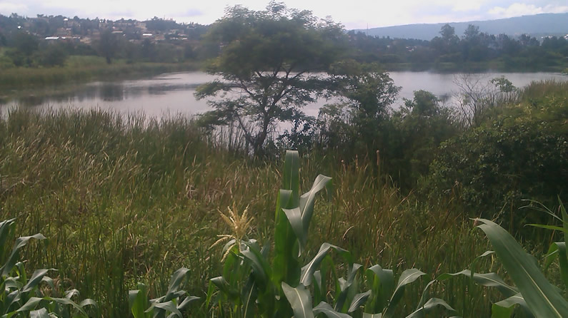 Lake Nyarutarama