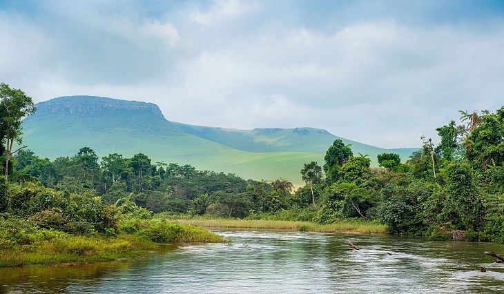 Welcome to Nature Reserve in DR Congo | Gorilla