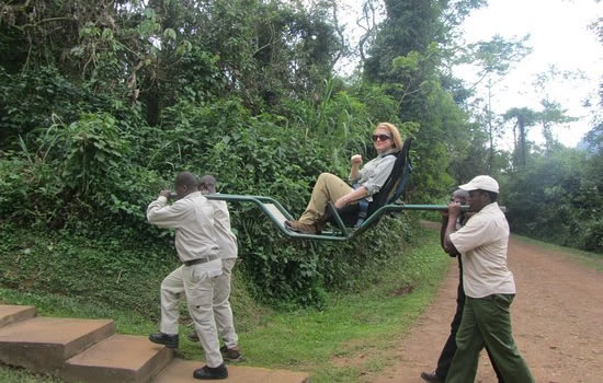 Gorilla Trekking on the Stretcher for old and disabled