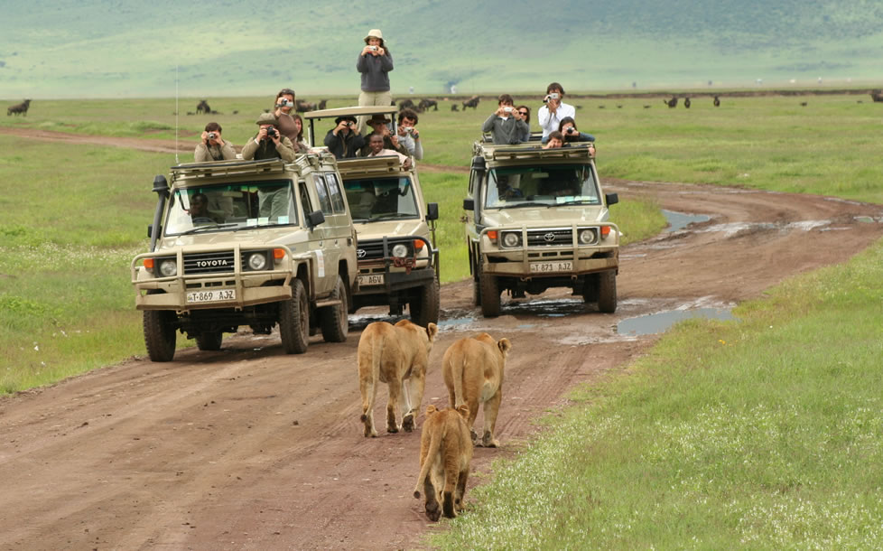 Game Safari in Tanzania