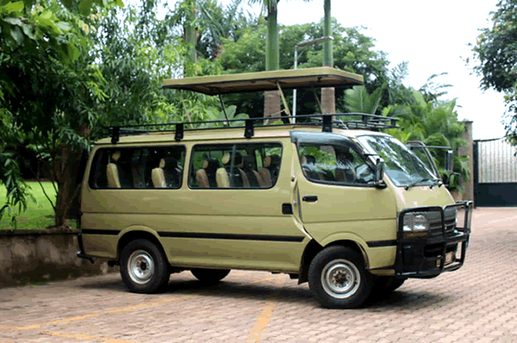 safari-mini-van