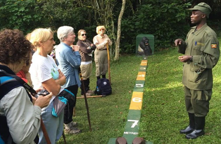 Gorilla Trekking Briefing 